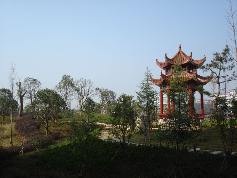 W(xu)ԺW(xu)Ժ@